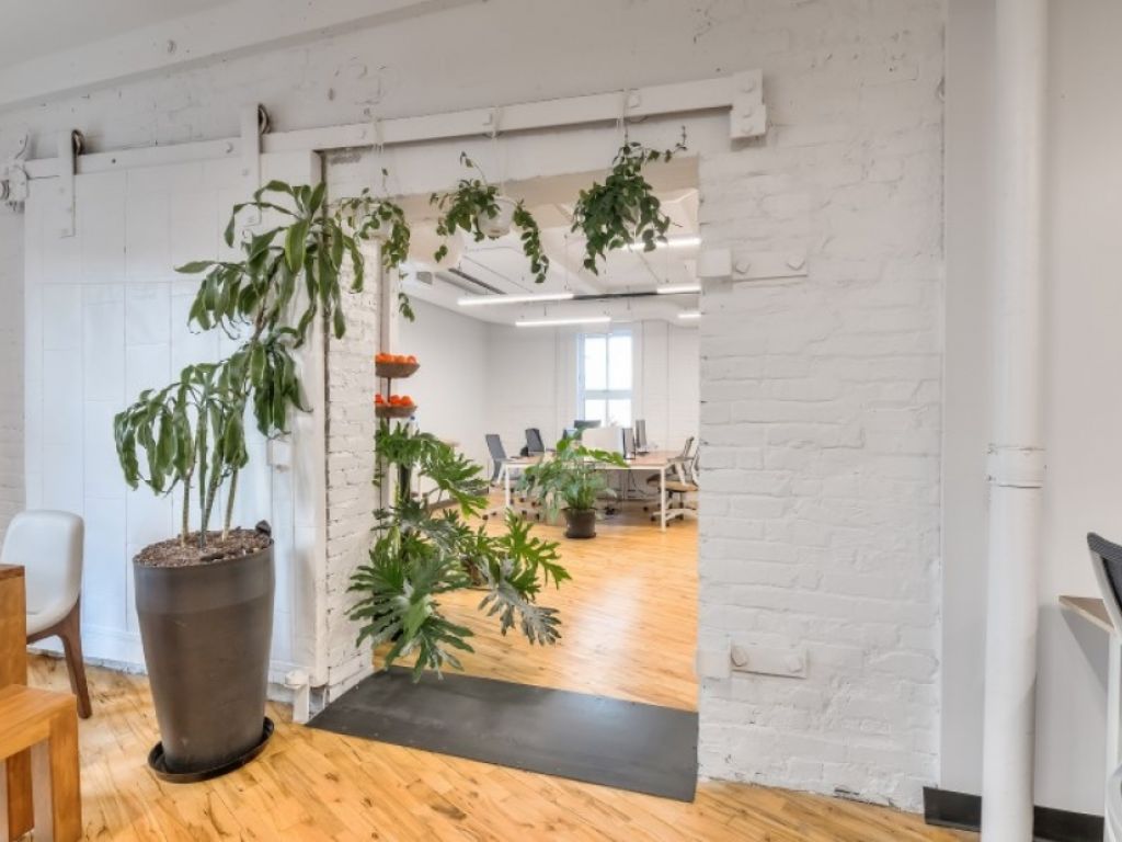 Renovated loft offices for rent in Rosemont/Little Italy