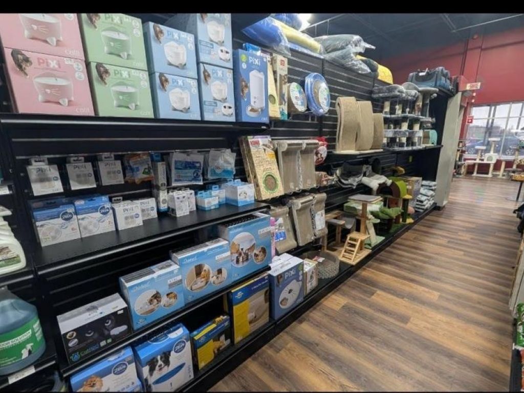 PITOU MINOU ET COMPAGNONS Franchise for Sale