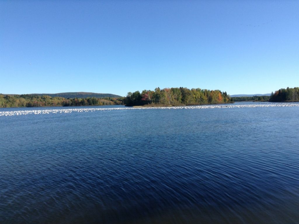 Camping, Base Plein Air & Relais � vendre en Gasp�sie